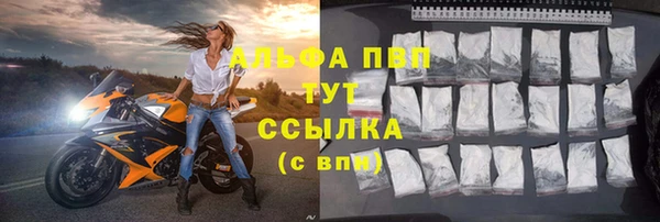 крисы Кулебаки
