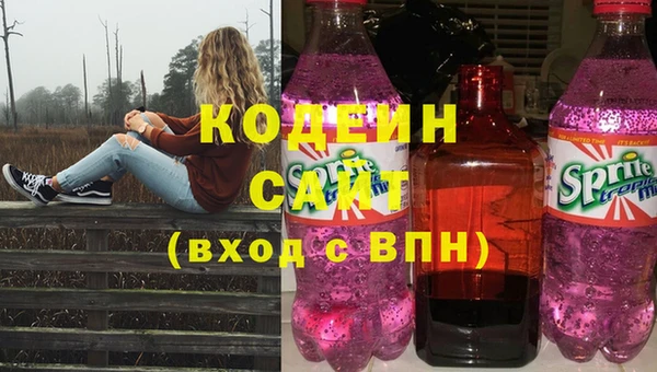 крисы Кулебаки