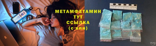 крисы Кулебаки