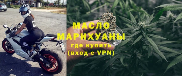 крисы Кулебаки