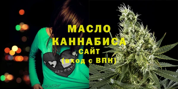крисы Кулебаки