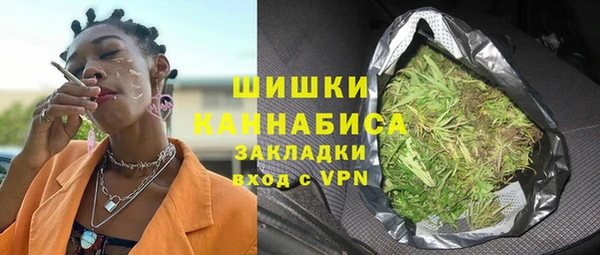 крисы Кулебаки