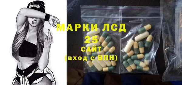 крисы Кулебаки