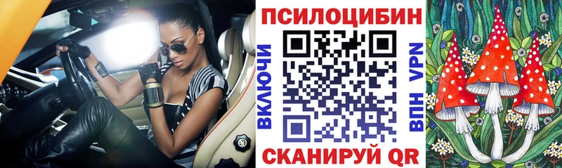 Псилоцибиновые грибы Psilocybine cubensis Лодейное Поле